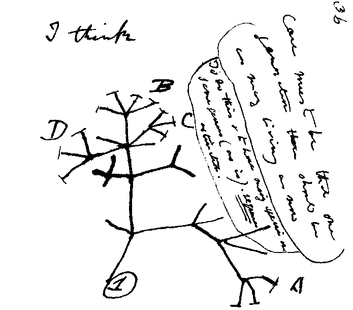 Darwin's tree of life