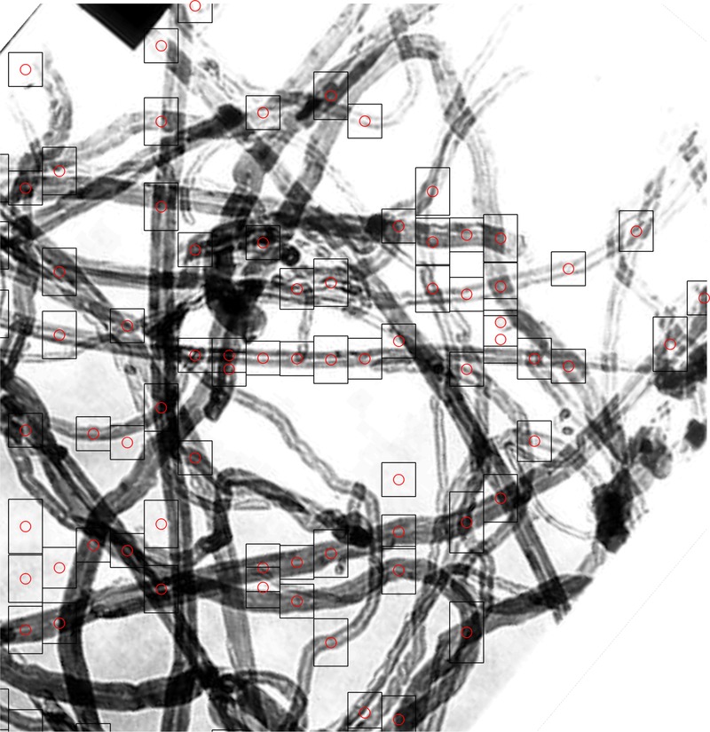 Detection of Carbon Nanotubes