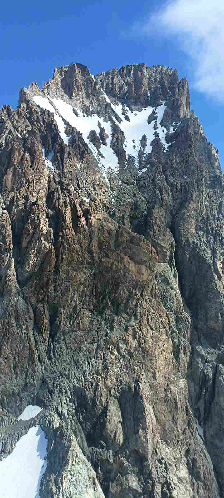 [Face ouest des Ecrins vue du Fifre]