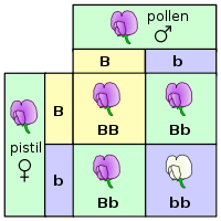 illustration2.png